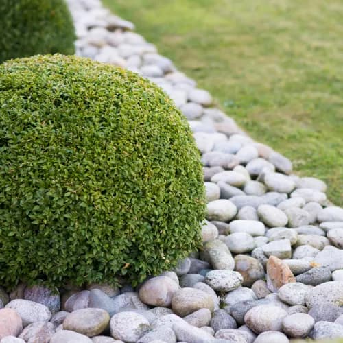 Drain Rock thumbnail 2