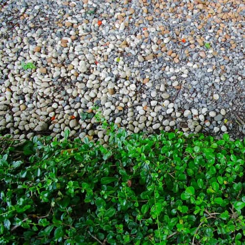 Drain Rock thumbnail 3