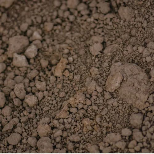 Fill Dirt thumbnail 3