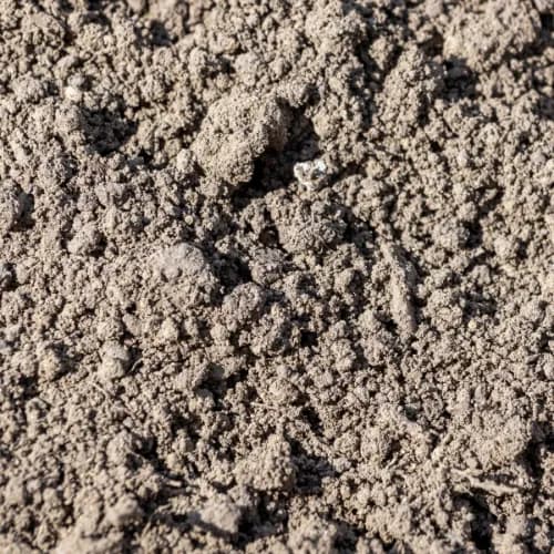 Fill Dirt thumbnail 4