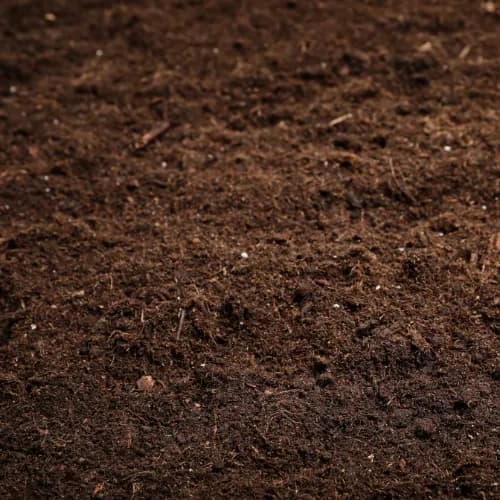 Garden Soil thumbnail 2