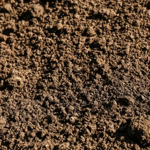 Garden Soil thumbnail 3