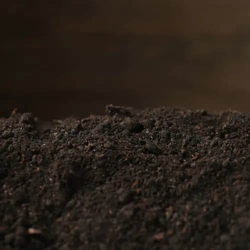 Garden Soil thumbnail 4