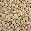 River Rock